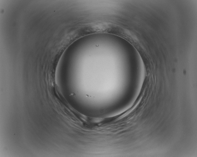 X0000070190317200606021104