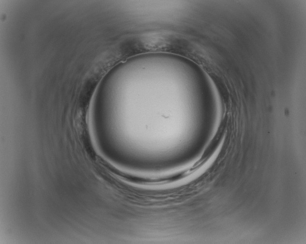 X0000070190319200606021104