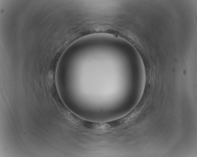 X0000070190321200606021104