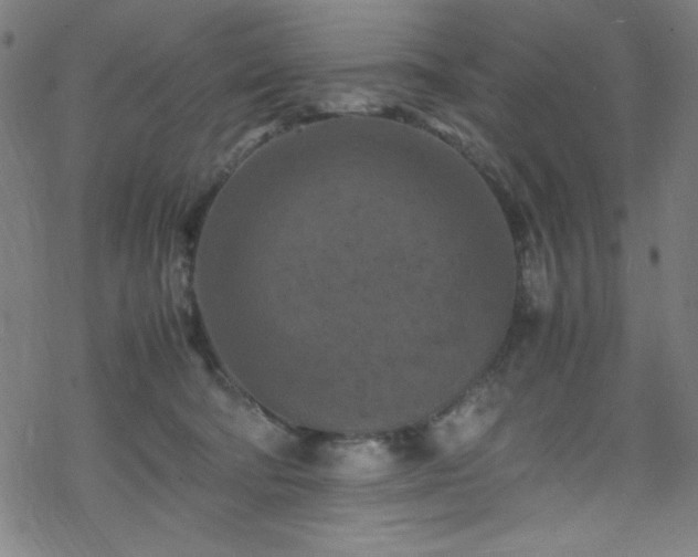 X0000070190322200606021104