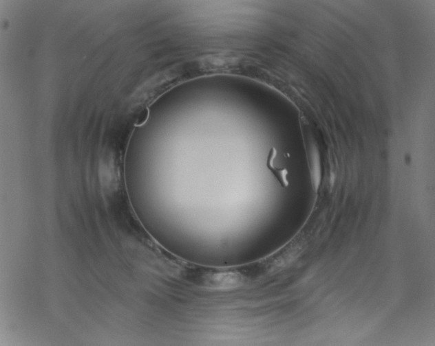 X0000070190324200606021104