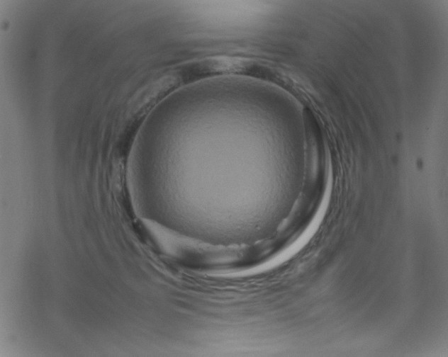 X0000070190325200606021104