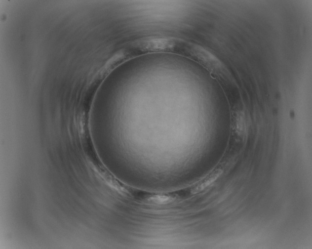 X0000070190326200606021104