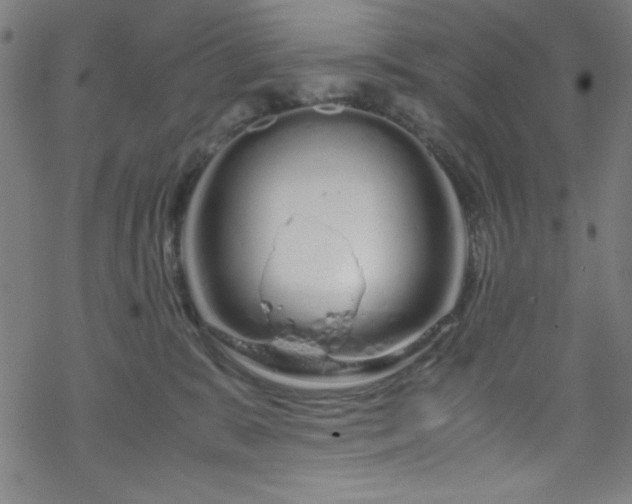 X0000070190327200606021104