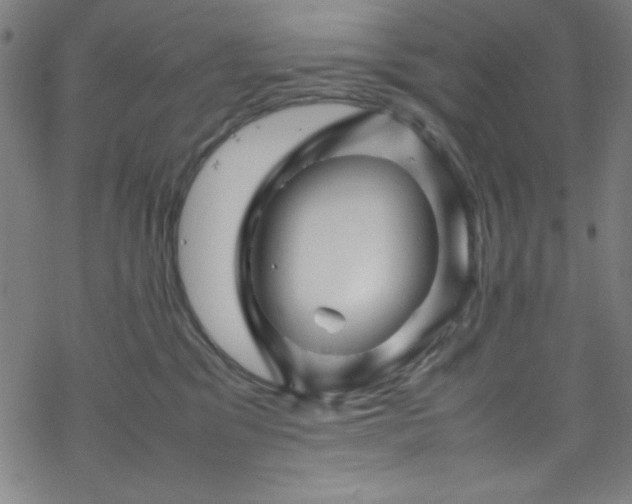 X0000070190329200606021103