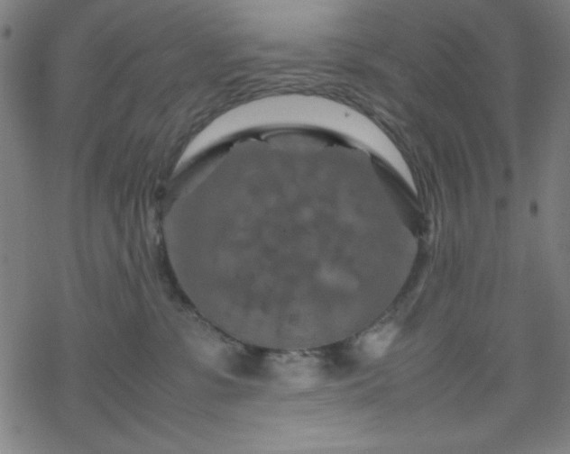 X0000070190331200606021103