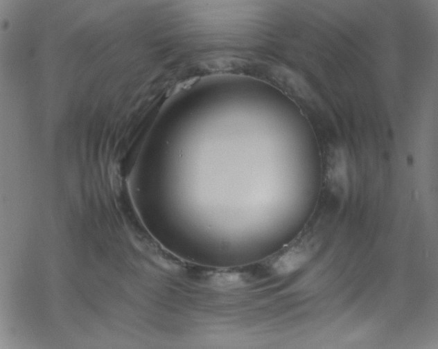 X0000070190332200606021103