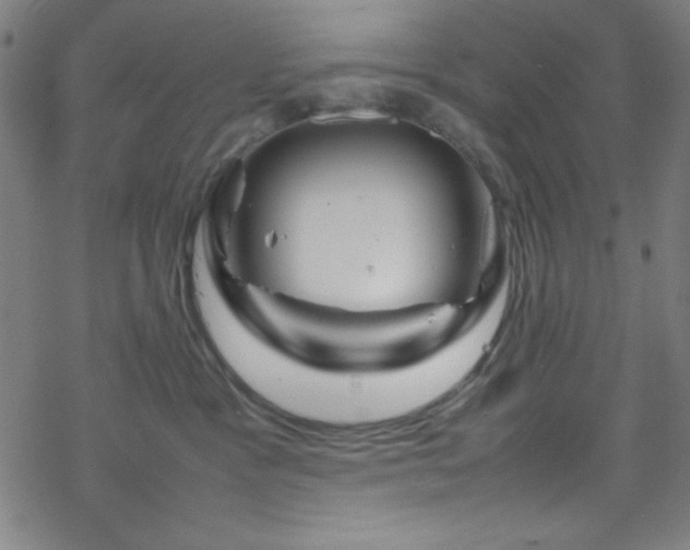 X0000070190333200606021103