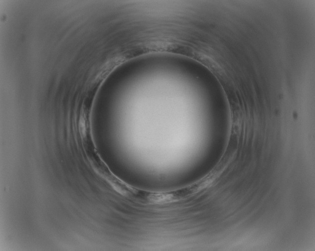 X0000070190334200606021103