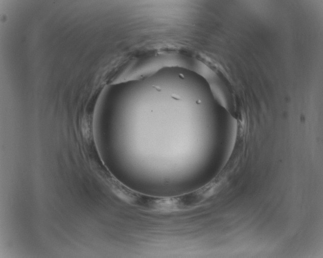 X0000070190335200606021103