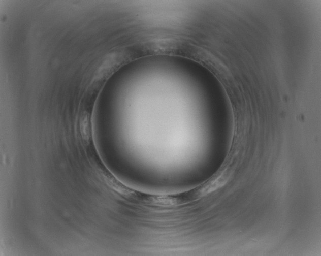 X0000070190336200606021103