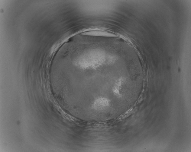 X0000070190337200606021102