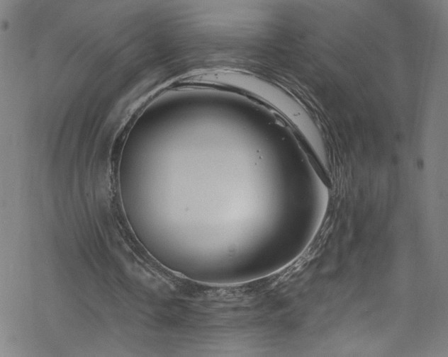 X0000070190338200606021103