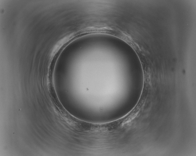 X0000070190340200606021103