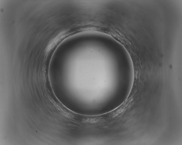 X0000070190341200606021103