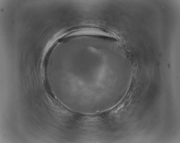 X0000070190343200606021103