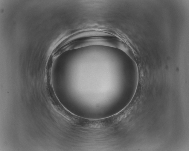 X0000070190344200606021103