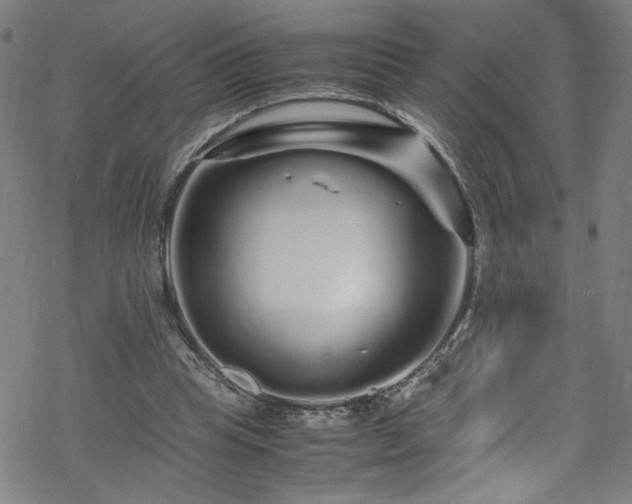 X0000070190345200606021103