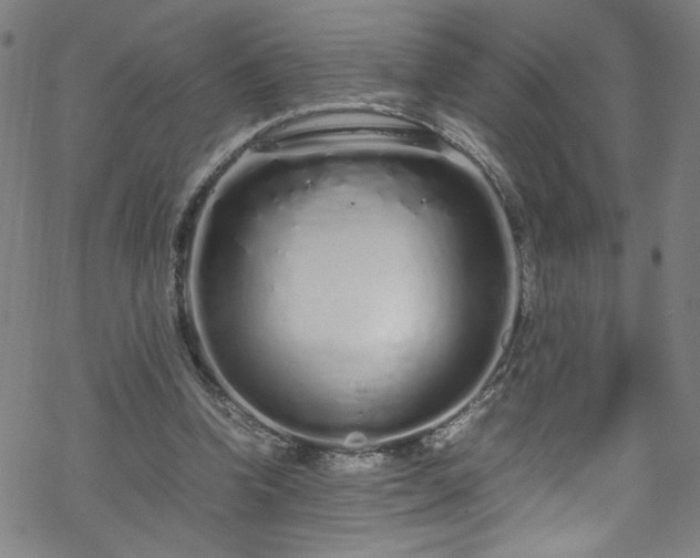 X0000070190346200606021103