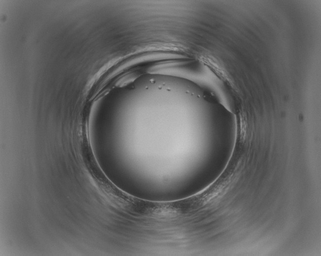 X0000070190348200606021103