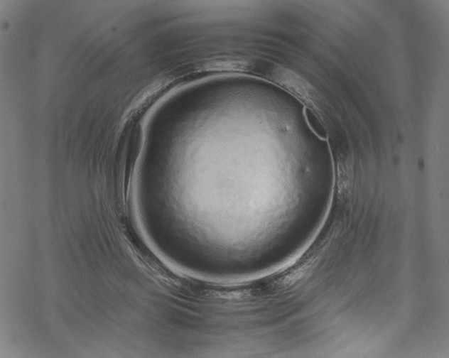 X0000070190349200606021103