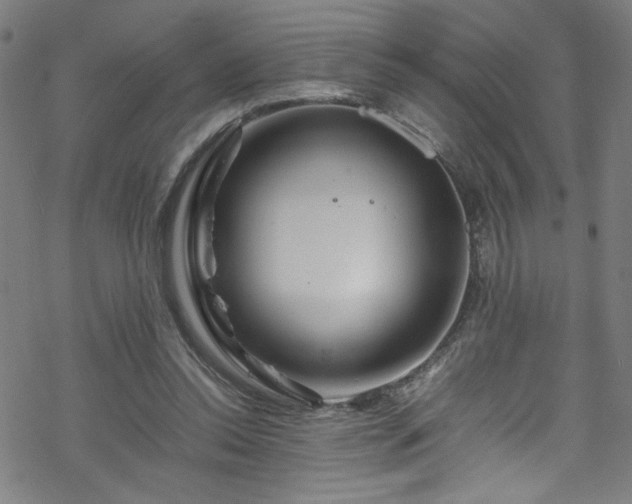 X0000070190350200606021103