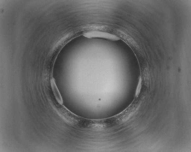 X0000070190352200606021103