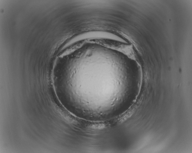 X0000070190353200606021103