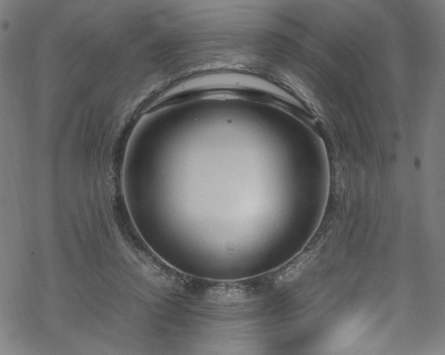 X0000070190354200606021103