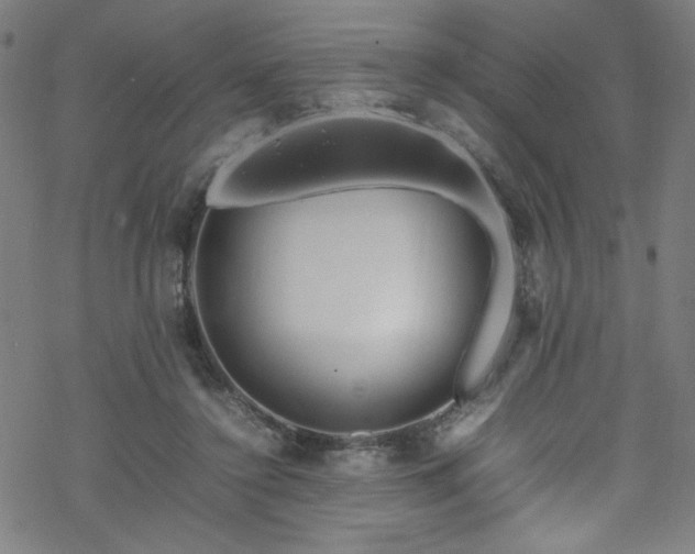 X0000070190356200606021103