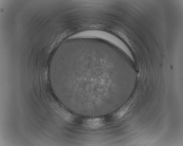 X0000070190357200606021103