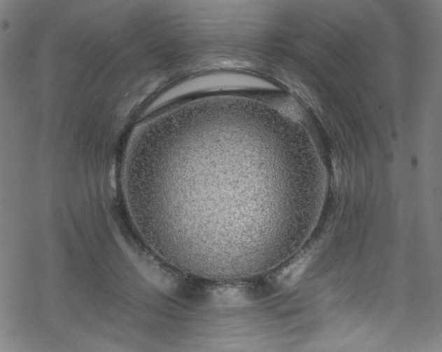 X0000070190358200606021103