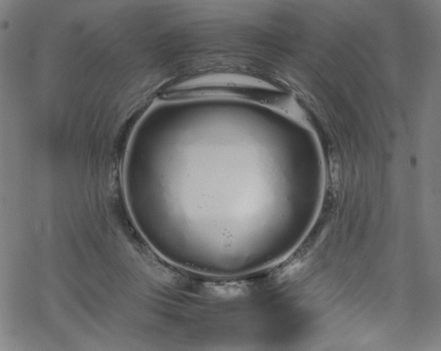 X0000070190359200606021103