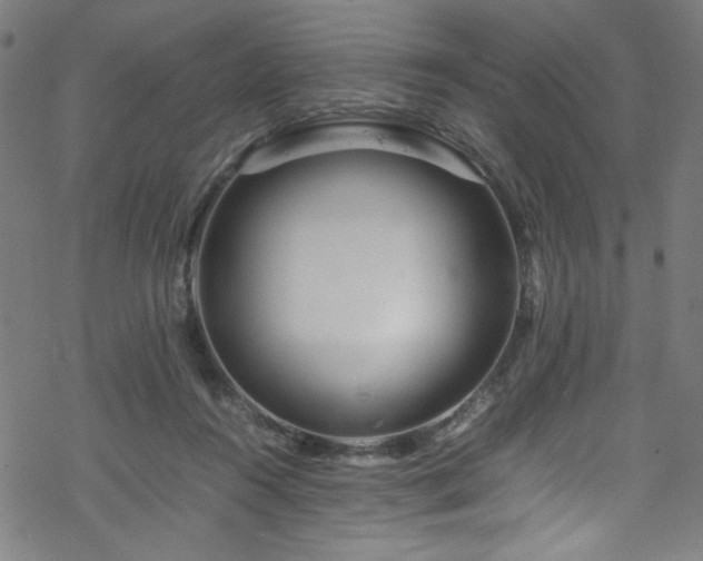 X0000070190360200606021103