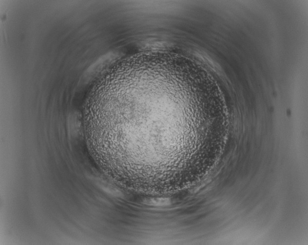 X0000070190361200606021103