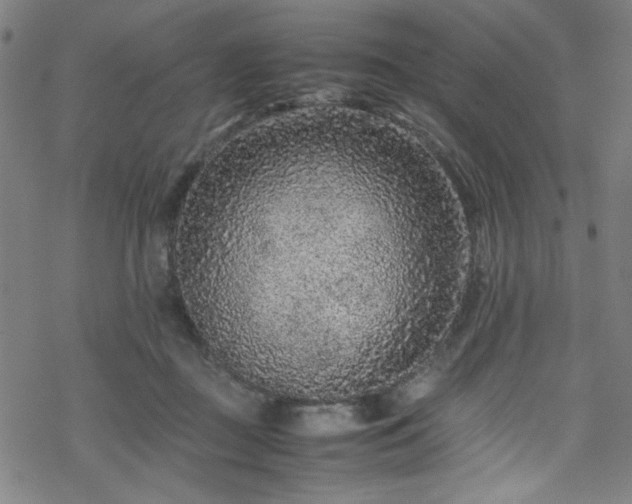 X0000070190363200606021103