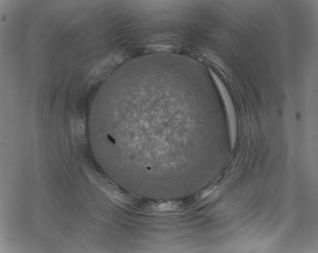 X0000070190365200606021103