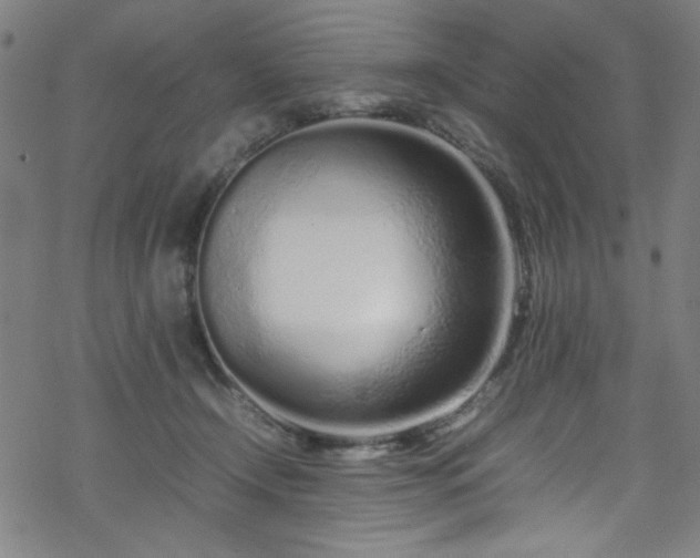 X0000070190366200606021103