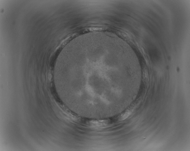 X0000070190367200606021103