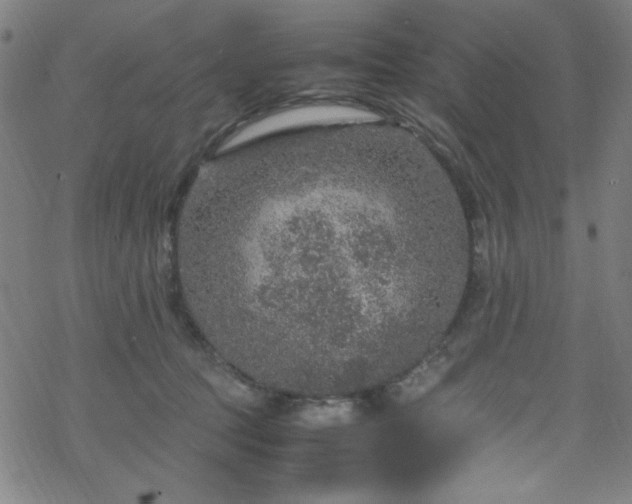 X0000070190369200606021103