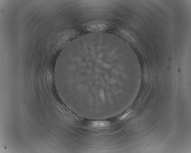 X0000070190371200606021103