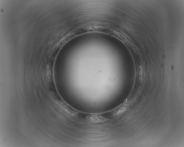 X0000070190372200606021103