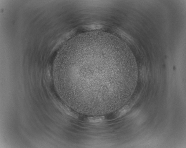 X0000070190373200606021103