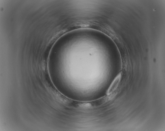 X0000070190374200606021103