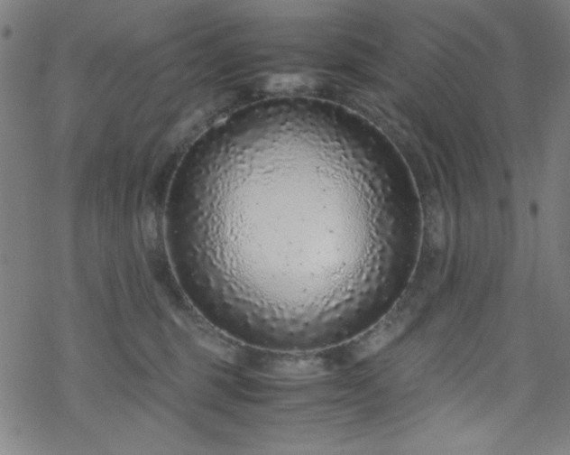 X0000070190375200606021103