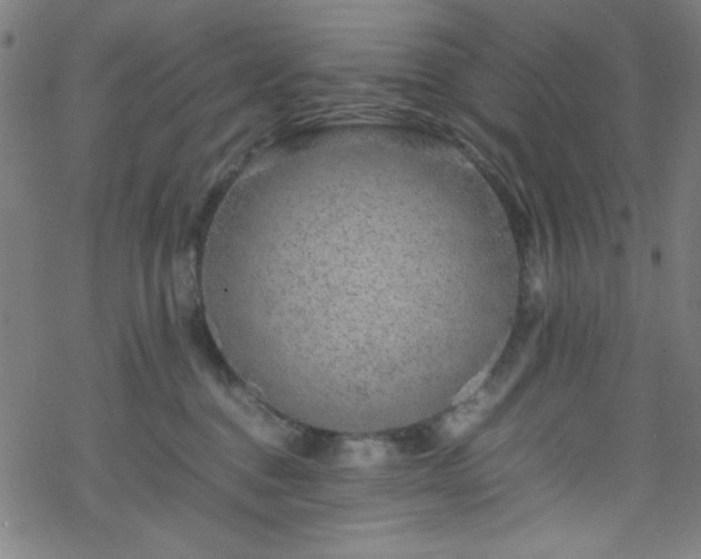 X0000070190376200606021103