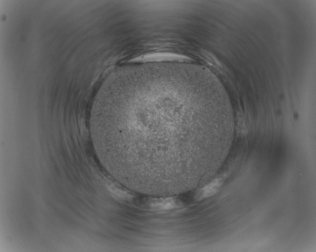 X0000070190377200606021103