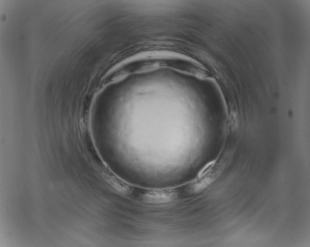 X0000070190381200606021103