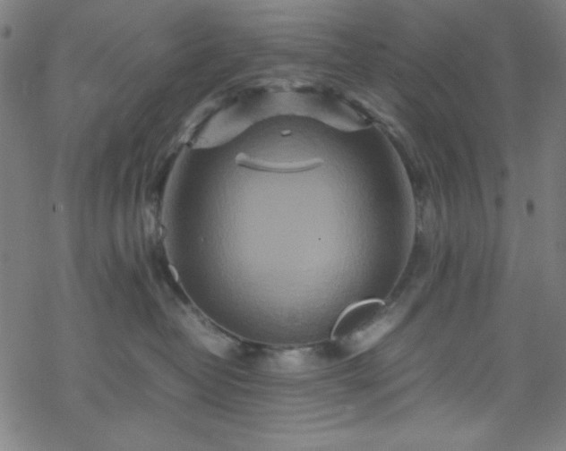 X0000070190382200606021103