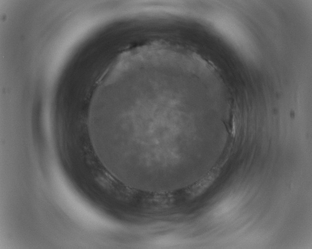 X0000070190383200606021103